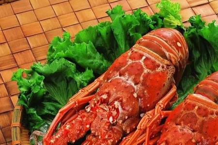 澳洲大龙虾有多少条腿