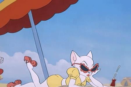 猫和老鼠十大尴尬事件