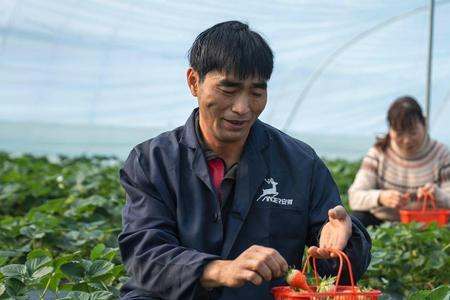不接茬什么意思