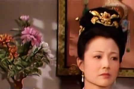 贾宝玉和宁府的关系