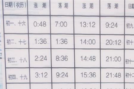 南通8月份退潮赶海时间表