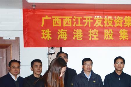 珠海港集团有多少个子公司