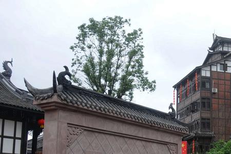 铜梁北站到安居古镇