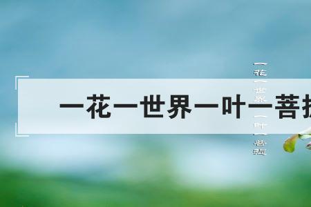 一菩提一世界意思