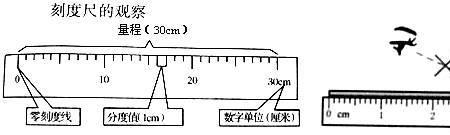 温度计分度值为2需要估读吗