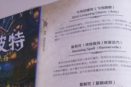 哈利波特让人失明的咒语