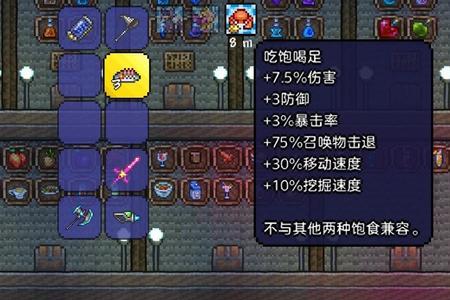 泰拉瑞亚耐力buff怎么获得