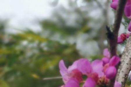 3月底是什么季节