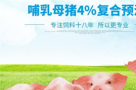 饲料蛋白不够如何处罚