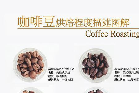 mstand的咖啡豆是用哪种的