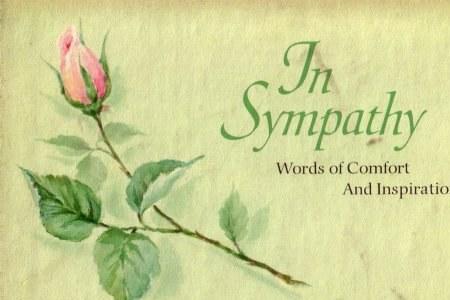 sympathy的反义词形式