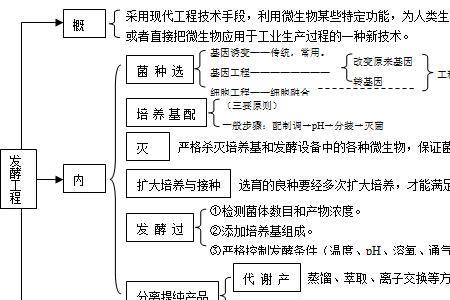 发酵工程中包括哪些发酵类群
