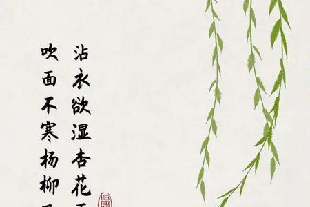 身如杨柳随风飘下一句是什么