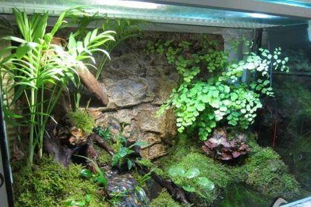 水陆缸怎么加热