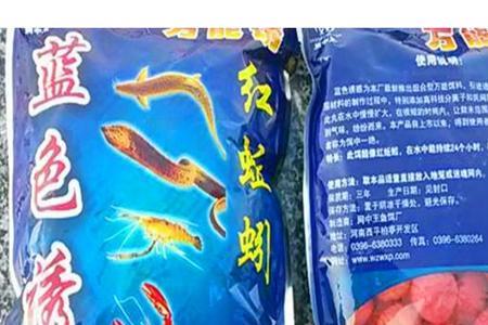 虎皮虾有蓝色的吗