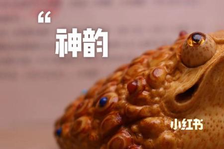 金蟾与金蝉子是一样的吗