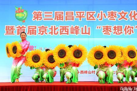 北京昌平摘小酸枣地方