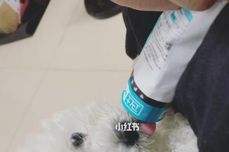 怎样向好友要宠物