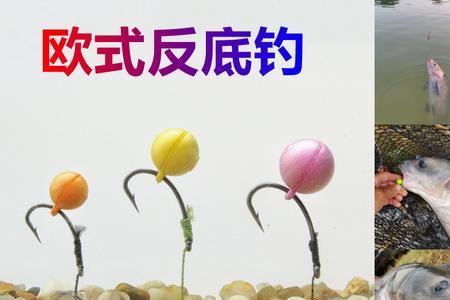 珠珠钓正确挂饵方法