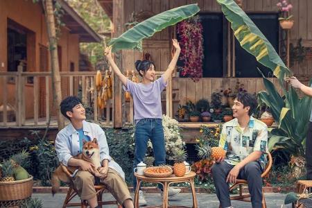 向往的生活10月怎么没有了