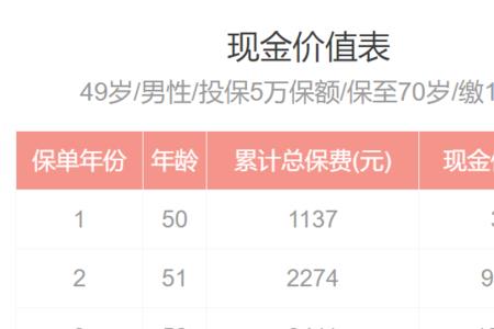 现金净值是什么意思