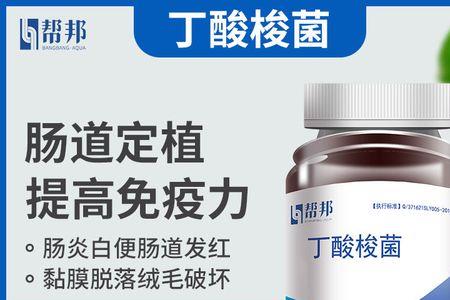 em菌和丁酸梭菌有什么区别