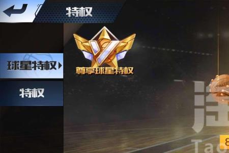 最强nba雷霆龟怎么样