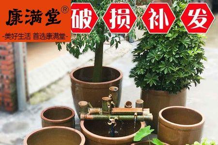 泥瓦缸养鱼不换水