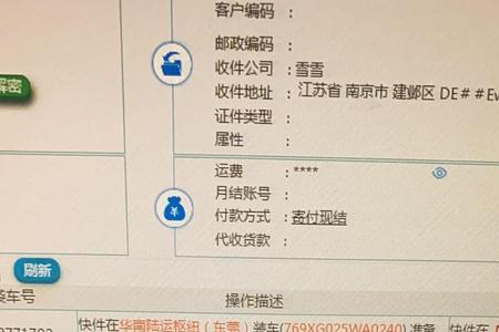 顺丰特安件什么意思