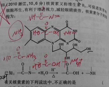氮离子化学式