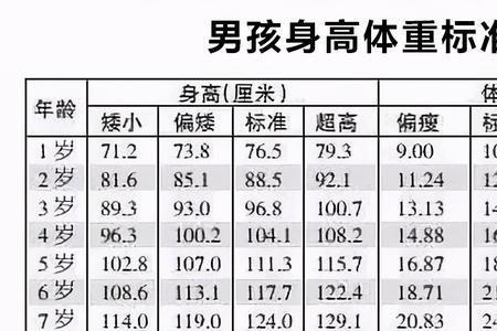 12岁男童脚长标准表