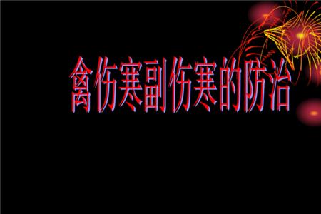 禽副伤寒的英文缩写