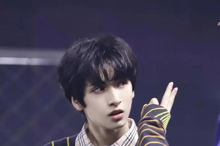 少年如歌严浩翔演了吗