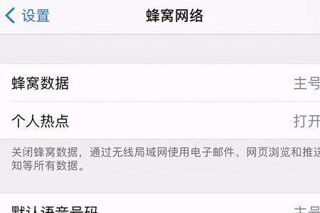 苹果手机蜂窝数据空白