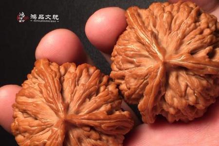 文玩核桃筋上有黄条正常吗