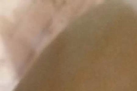 厨房有很多小蜘蛛怎么回事