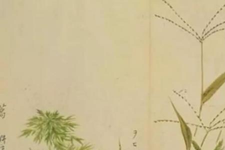 诗经小雅召南