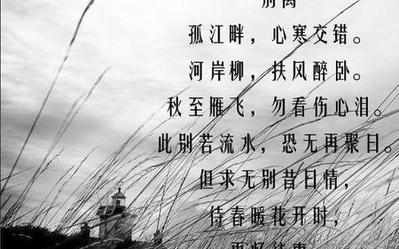 描写人物离别依依不舍的成语