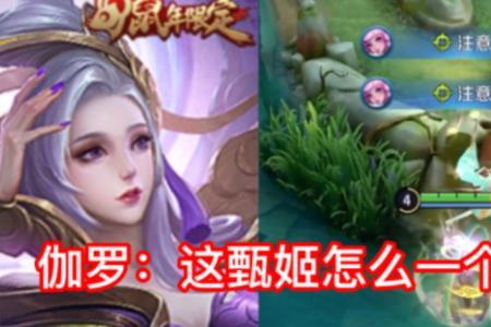 甄姬的生母