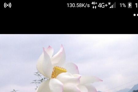 红白莲花共塘开什么意思