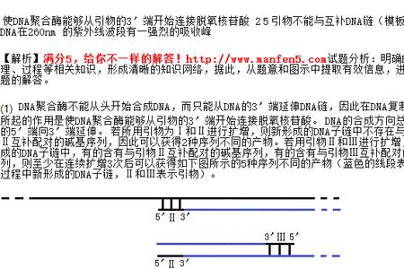 pcr体系中什么用来识别特定dna