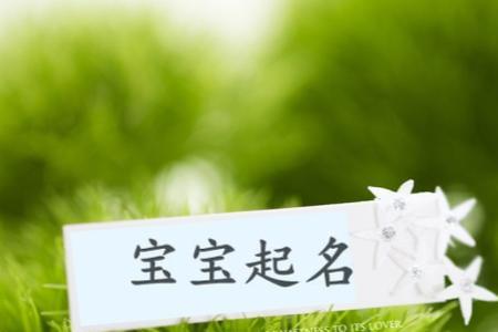 言兮名字含义是什么