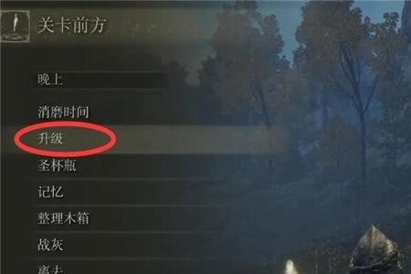 艾尔登灵马怎么召唤不了