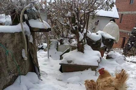 下雨下雪怎么邀约客户