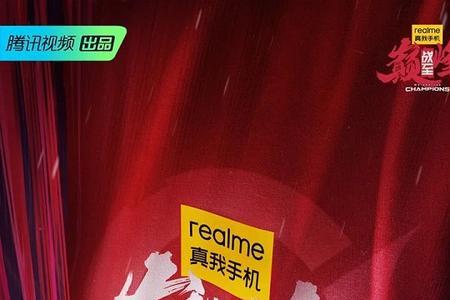 战至巅峰综艺有几个职业战队