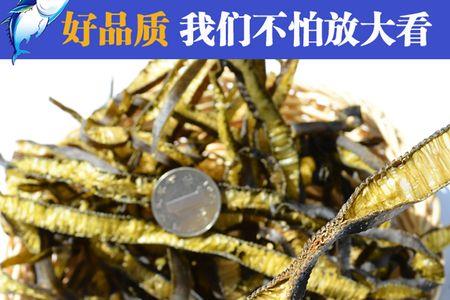 海蓉菜长什么样