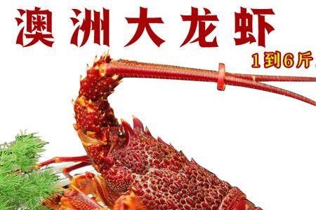 活的龙虾怎么保存