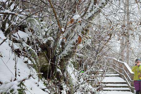 踏雪人什么意思
