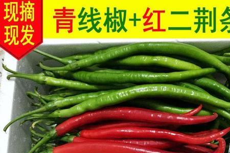 青椒线椒是同一种吗