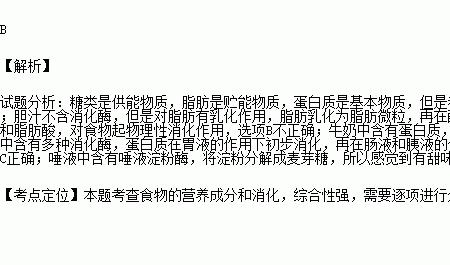 猪的胃液由哪些成分构成